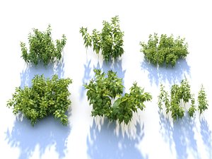 Nettle Animated Ecosystems Pack 6