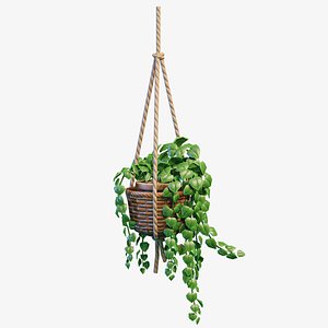 3D Stylized House Plant 29