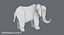 elephant 3D model