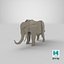 elephant 3D model