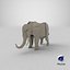 elephant 3D model