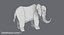 elephant 3D model