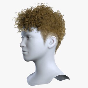 Modern Men Short Curly Hair with Taper Fade - Game Ready 3D model