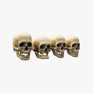 human skull set 3D