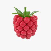 Cartoon Raspberry