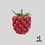 Cartoon Raspberry