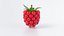 Cartoon Raspberry
