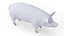 Pig Body Skeleton and Lymphatic System Static