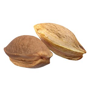 Apricot kernels seed model