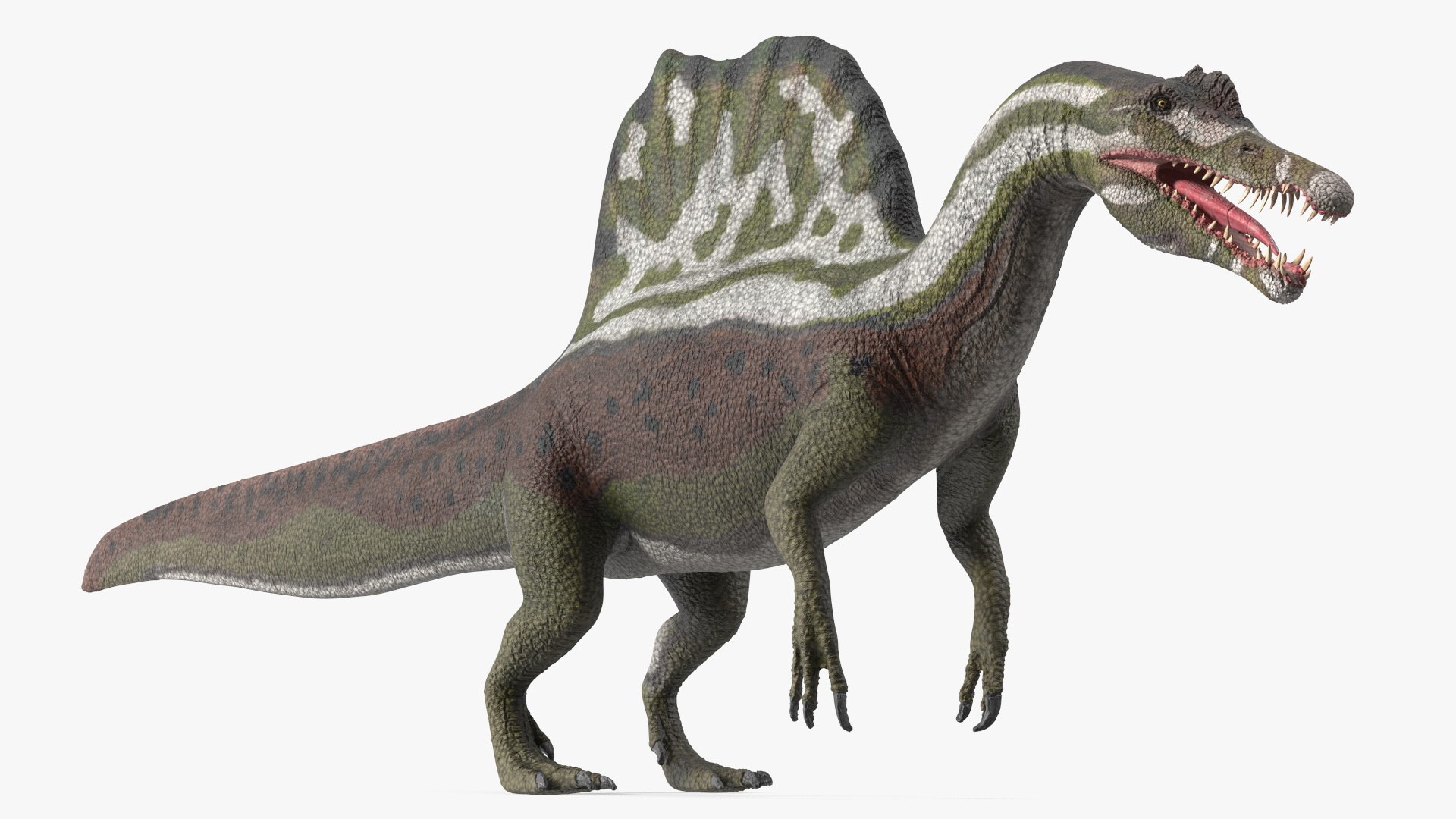Spinosaurus Dinosaur Green Basic Pose 3D model preview