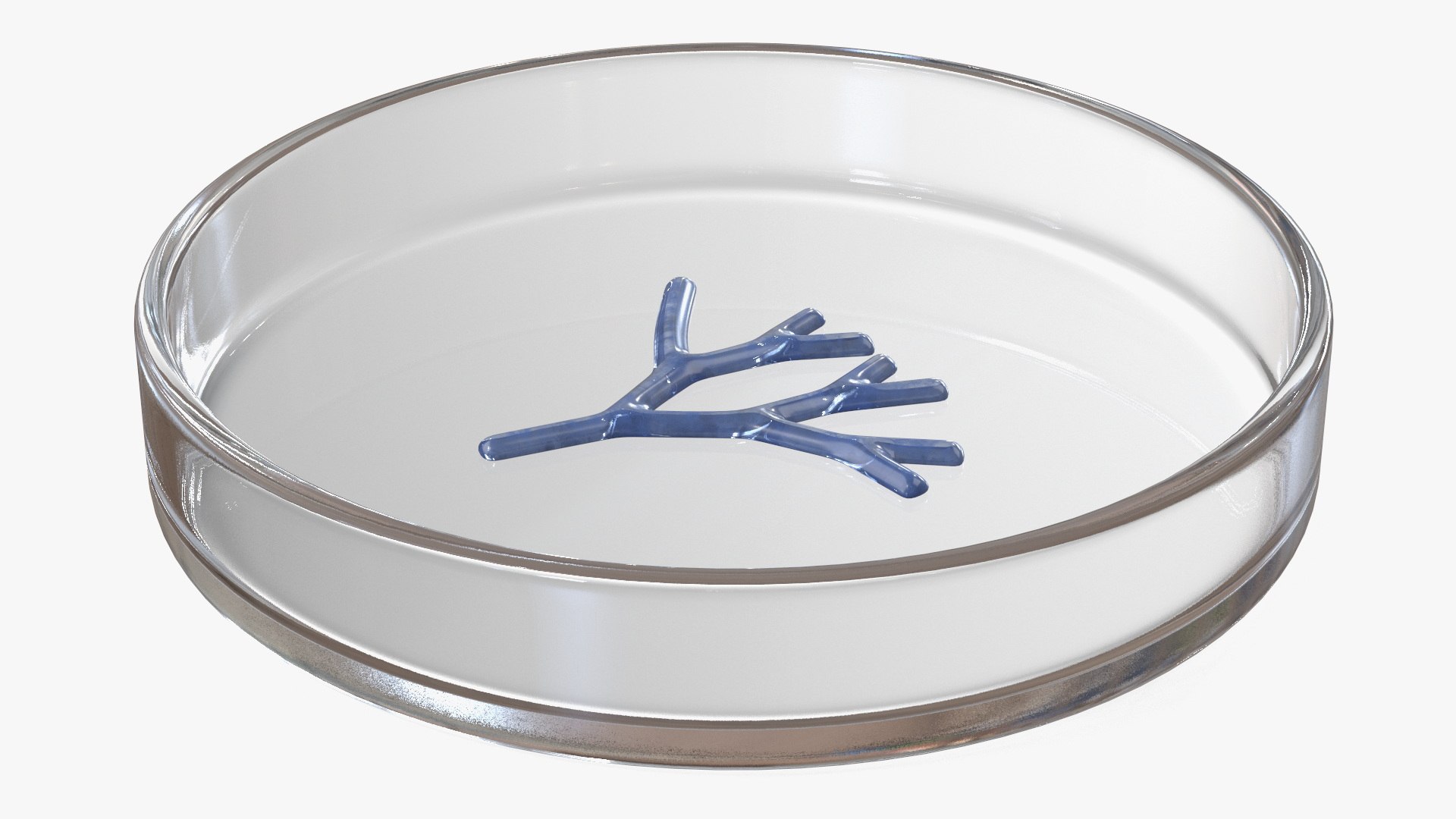 Bioprinter Tissue Material 3D https://p.turbosquid.com/ts-thumb/w3/RAphOm/RH/bioprinter_tissue_material_006/jpg/1756468387/1920x1080/fit_q87/559b6ae474a2266f8083fa0be071ac28d2ea9a4d/bioprinter_tissue_material_006.jpg