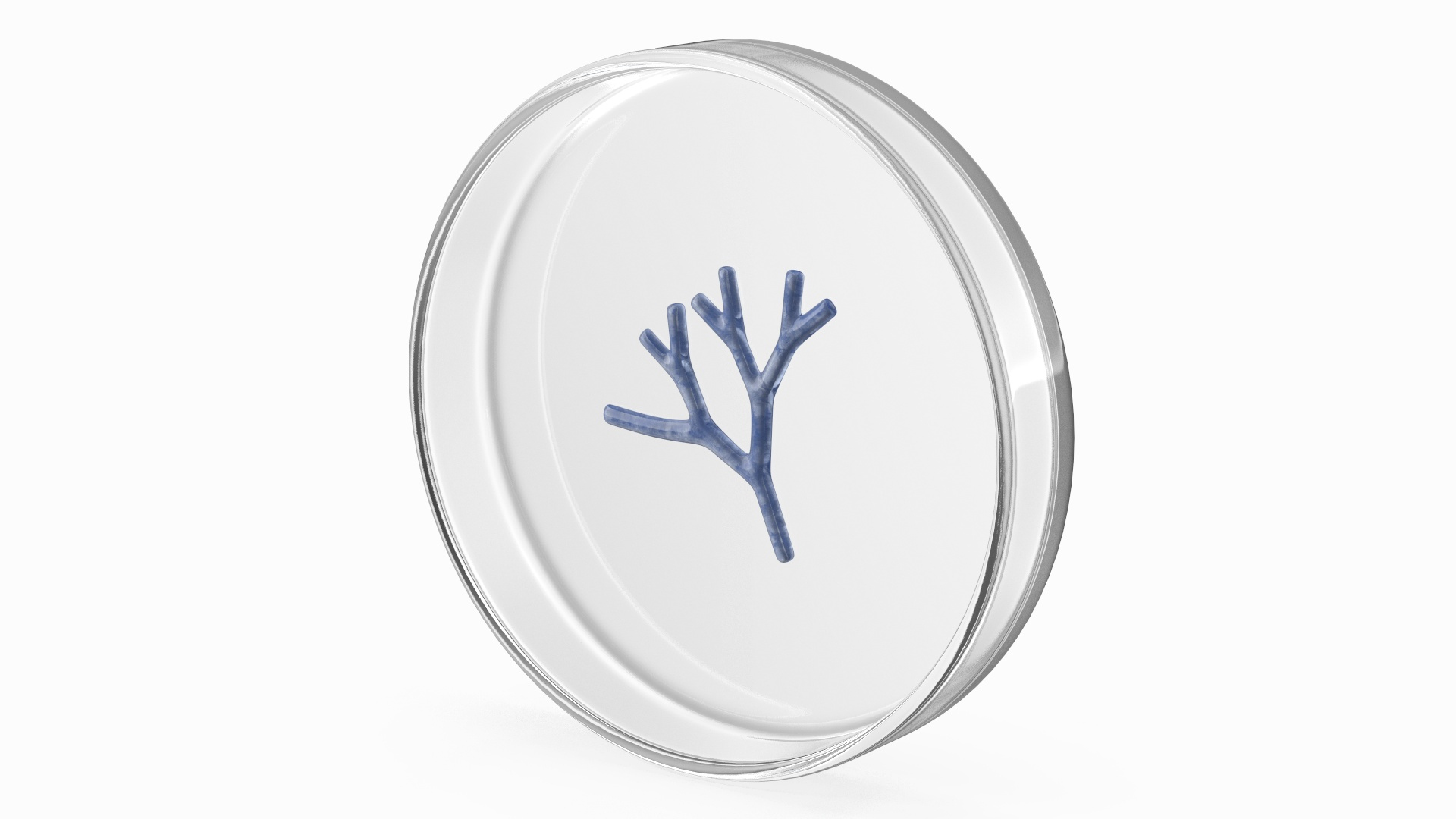 Bioprinter Tissue Material 3D https://p.turbosquid.com/ts-thumb/w3/RAphOm/rx/bioprinter_tissue_material_360/jpg/1756468220/1920x1080/turn_fit_q99/93ebbfbbc23a5cb260769d2806ad8322b3768a3d/bioprinter_tissue_material_360-1.jpg