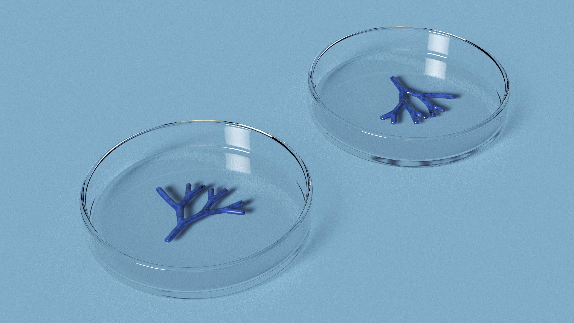 Bioprinter Tissue Material 3D https://p.turbosquid.com/ts-thumb/w3/RAphOm/ti/bioprinter_tissue_material_005/jpg/1756468383/1920x1080/fit_q87/adf088ab555212c2ad54f09038349da6c803bef4/bioprinter_tissue_material_005.jpg