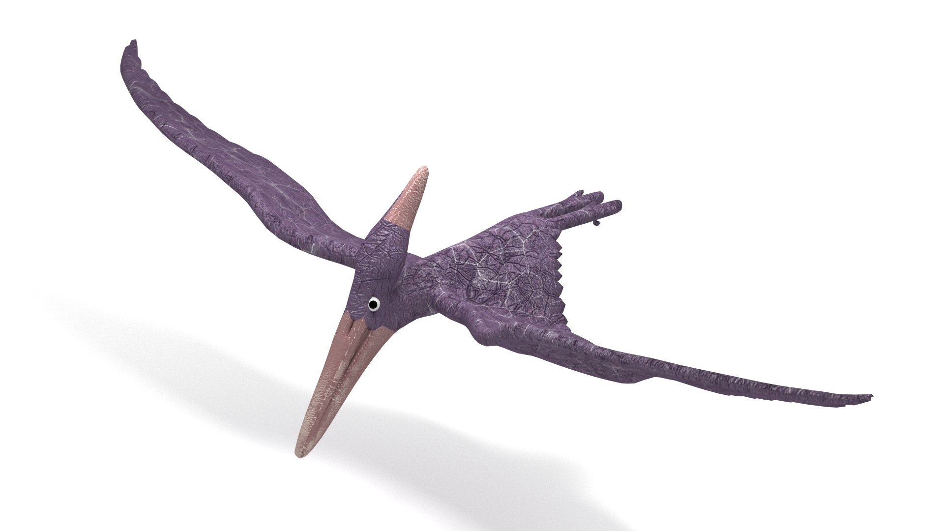 Pteranodon 3D model https://p.turbosquid.com/ts-thumb/w3/YzIram/Jv/003/jpg/1756211574/1920x1080/fit_q87/bc2fbe684529c1ebf44bf9a92b94fdee12a55993/003.jpg