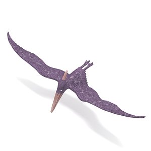 Pteranodon 3D model