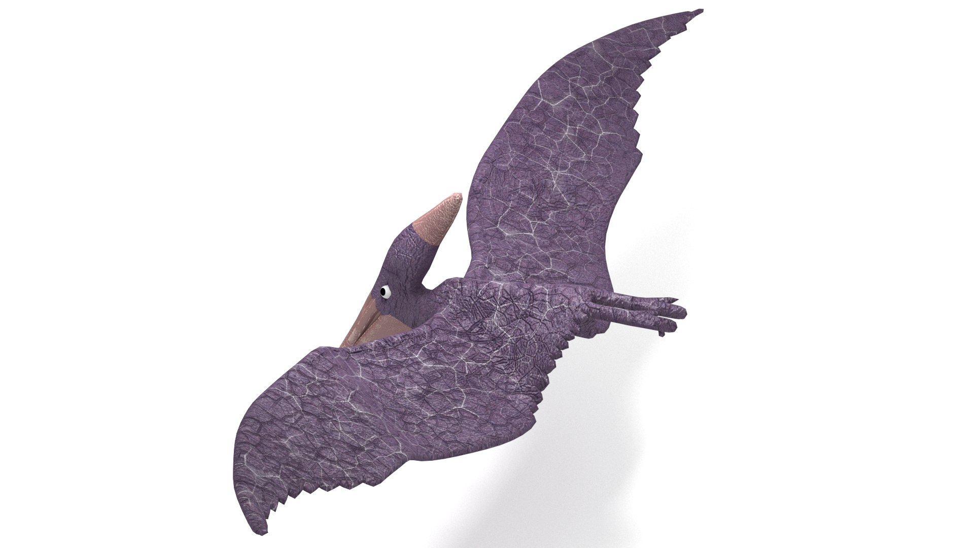 Pteranodon 3D model https://p.turbosquid.com/ts-thumb/w3/YzIram/eZ/004/jpg/1756211575/1920x1080/fit_q87/2a1d315643cb6d12d05251edc13b681924ecd287/004.jpg