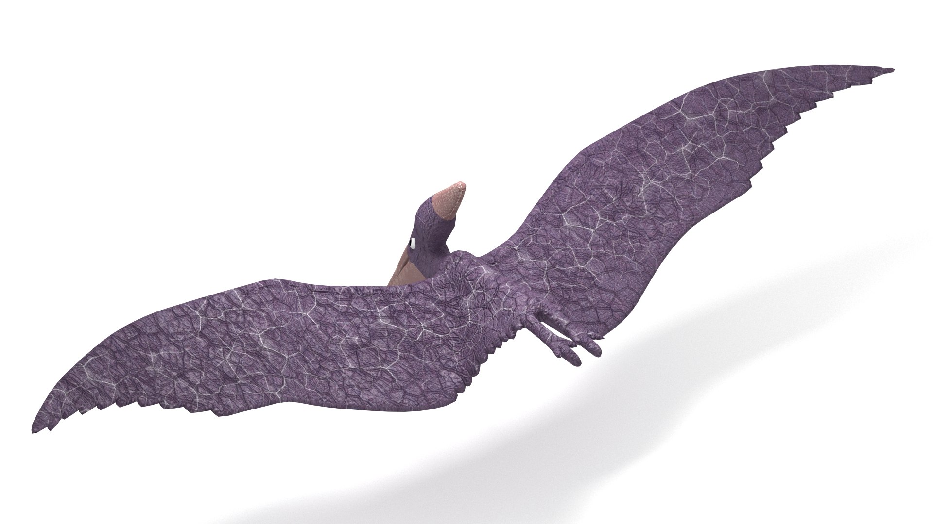 Pteranodon 3D model https://p.turbosquid.com/ts-thumb/w3/YzIram/xL/002/jpg/1756211575/1920x1080/fit_q87/ba9be3d9d6a8314252ffe2f04276833d776c5294/002.jpg