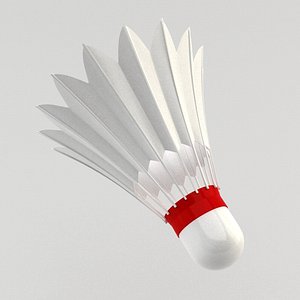 Badminton Shuttlecock