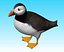 puffin