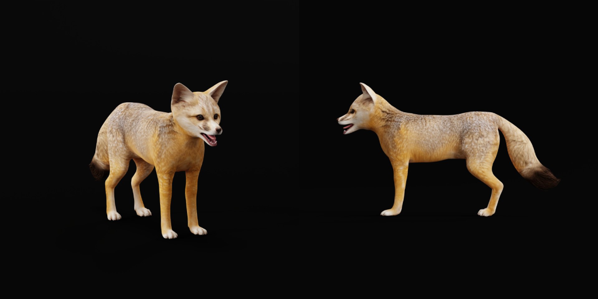 3D Kit Fox - TurboSquid 2322194