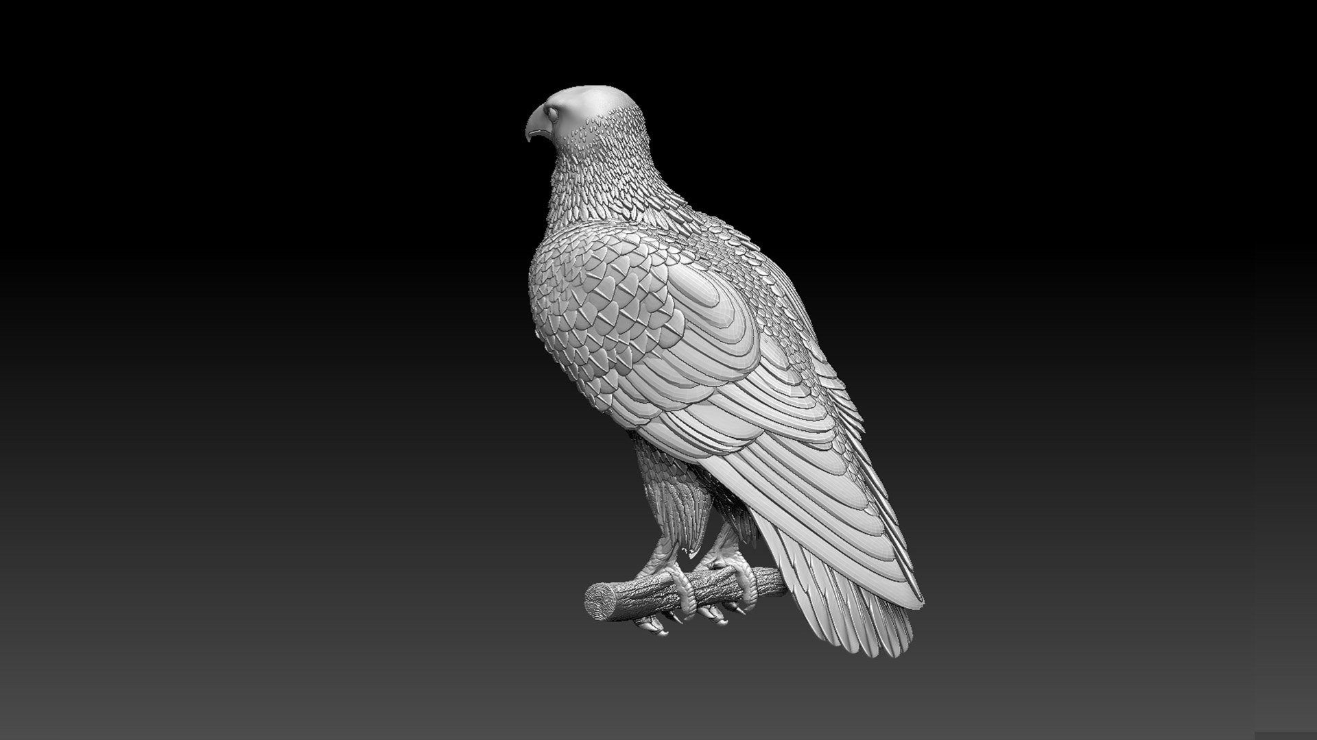 Hawk 3D - TurboSquid 1901428