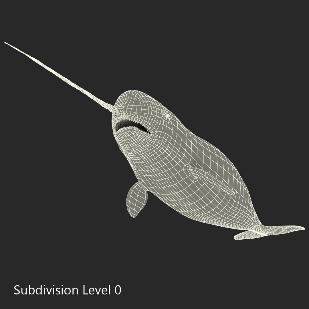 3d narwhal whale https://p.turbosquid.com/ts-thumb/w3/xQ3uda/2R4liVaU/narwhalwhale_76/jpg/1406301110/1920x1080/fit_q87/ed51978142d1187e057c457b1eefd4aea14ccc36/narwhalwhale_76.jpg