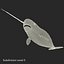3d narwhal whale