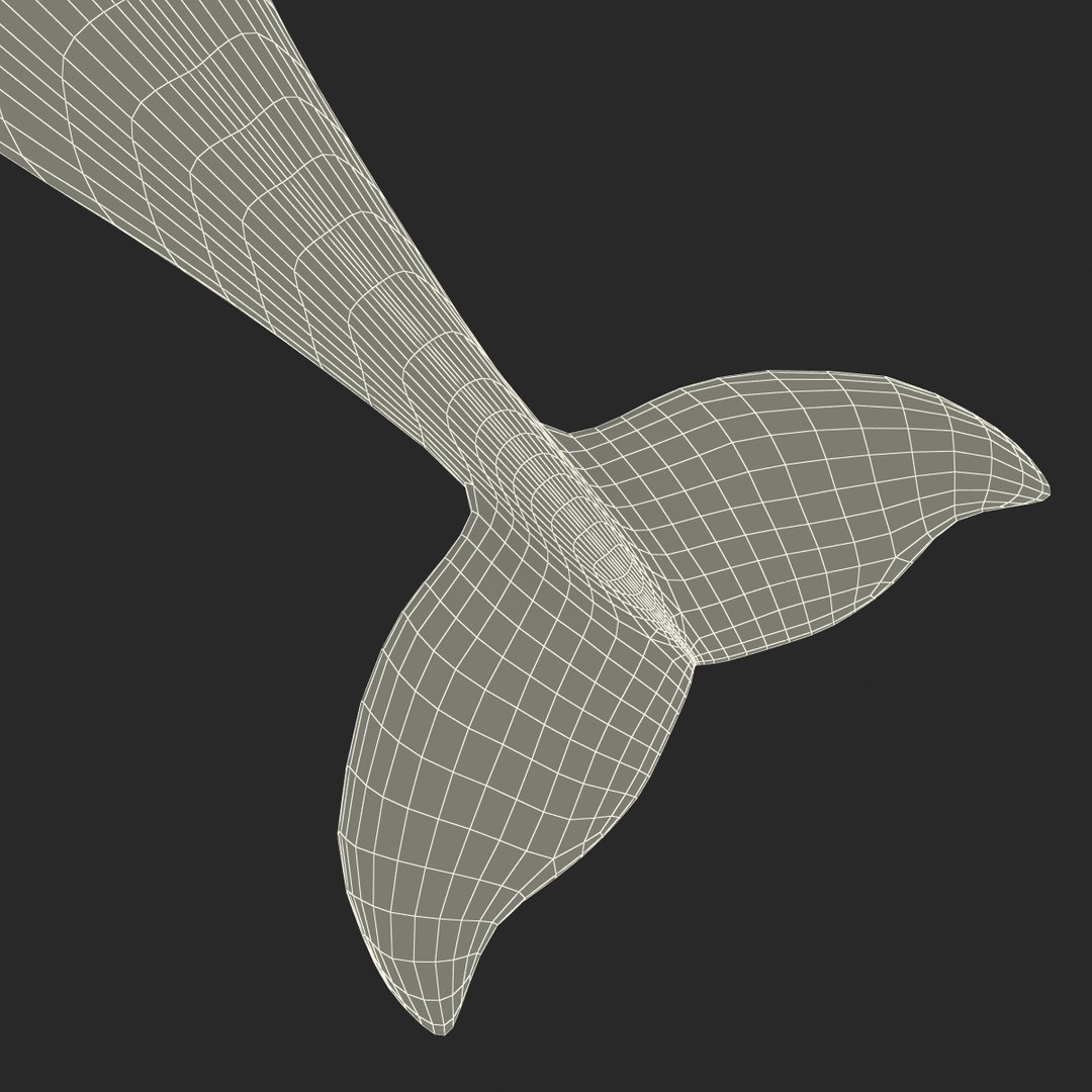 3d narwhal whale https://p.turbosquid.com/ts-thumb/w3/xQ3uda/9PSnjA9a/narwhalwhale_99/jpg/1406301123/1920x1080/fit_q87/137464b776842e0640faee4fb6aca451b3836f7b/narwhalwhale_99.jpg