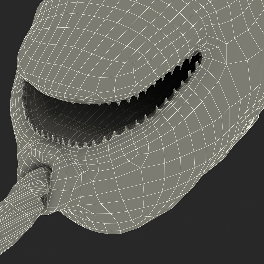 3d narwhal whale https://p.turbosquid.com/ts-thumb/w3/xQ3uda/HuEWgquP/narwhalwhale_98/jpg/1406301149/1920x1080/fit_q87/007dcc524b9c2e54caf6ceac9a7491d2f7cd434b/narwhalwhale_98.jpg