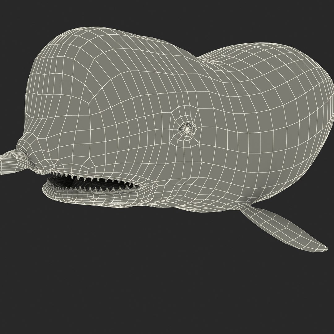 3d narwhal whale https://p.turbosquid.com/ts-thumb/w3/xQ3uda/j6ytFOmr/narwhalwhale_97/jpg/1406301070/1920x1080/fit_q87/dece024f285698f77404d52fadfcbfa95913fea3/narwhalwhale_97.jpg