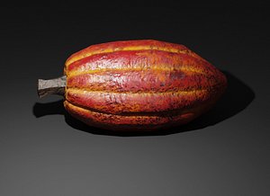 Cocao Bean 3D model