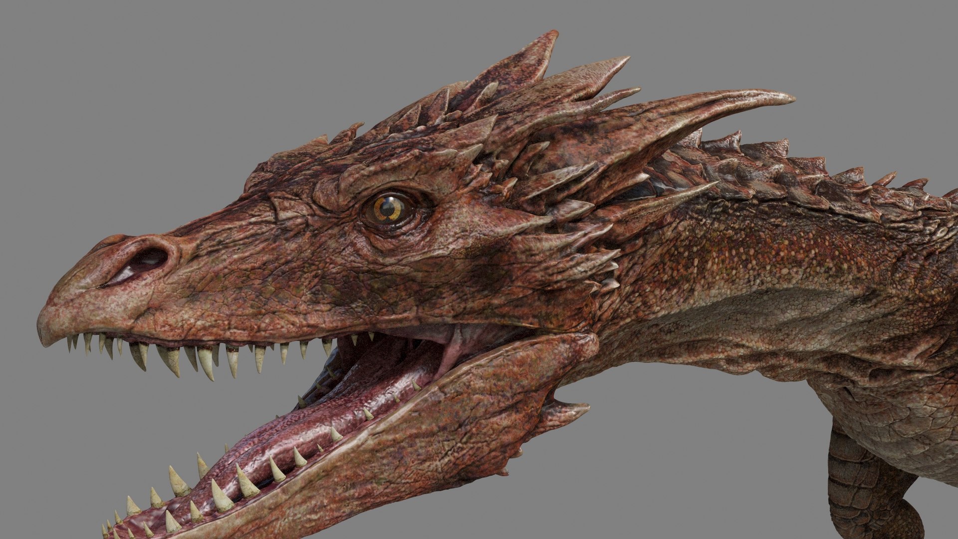 3d dragon model https://p.turbosquid.com/ts-thumb/w4/8RrG6q/6oQdLT2K/dragonren3_0005/jpg/1439207484/1920x1080/fit_q87/e941f513605b46a17b6110c8691988abe9aa037f/dragonren3_0005.jpg