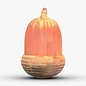 3D Tree Acorn Low Poly model