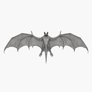 3D Bat model