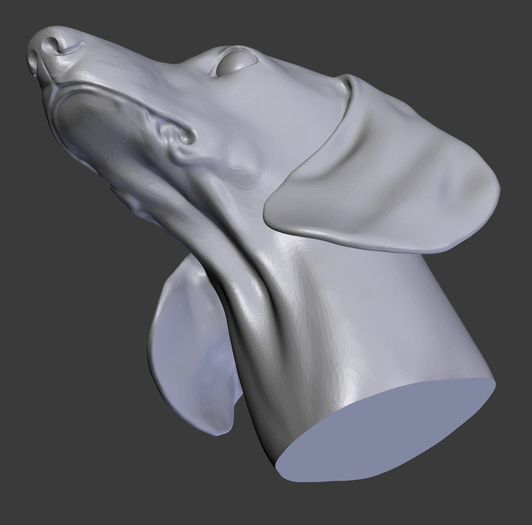 Canine Dog 3D Model - TurboSquid 1174036