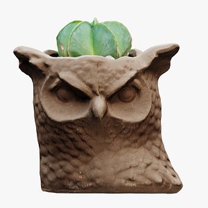 Owl vase with Astrophytum myriostigma 3D model