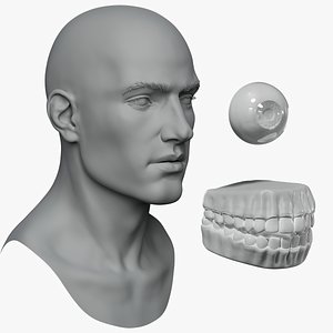 Male head basemesh