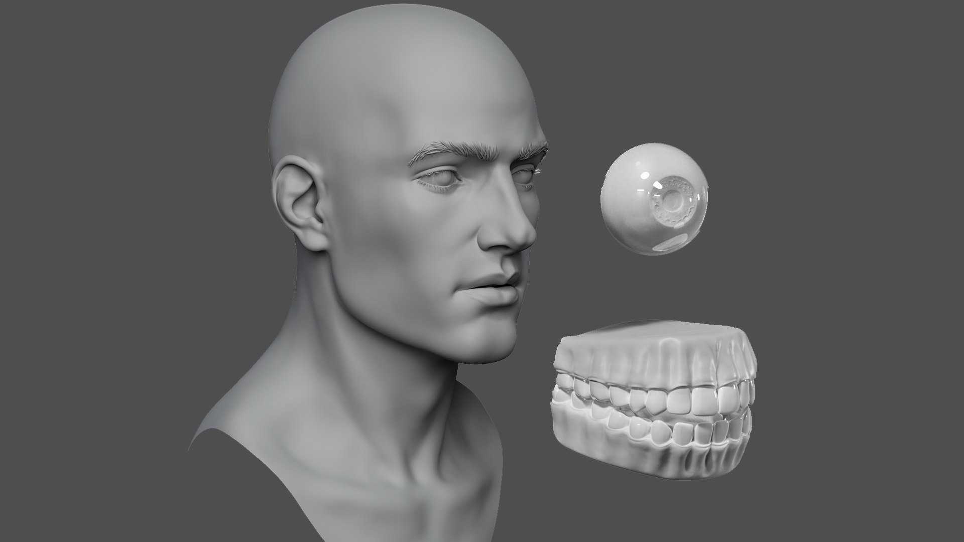 3D Male head basemesh model https://p.turbosquid.com/ts-thumb/w4/hQnj2t/R0/thumbnailimage2/png/1748617357/1920x1080/fit_q87/fcc026e567b09b5c0ee5923a0c038e03f312a709/thumbnailimage2.jpg