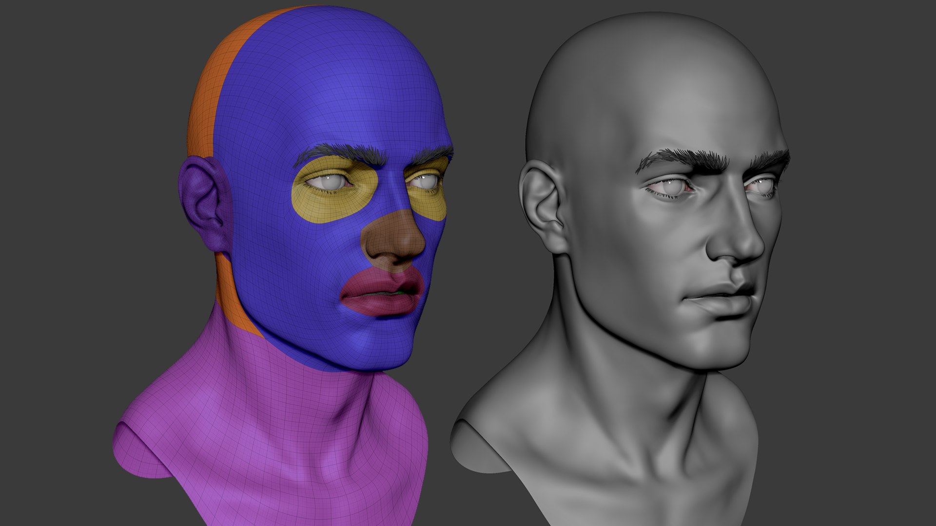 3D Male head basemesh model https://p.turbosquid.com/ts-thumb/w4/hQnj2t/gf/previewimage1/png/1748616914/1920x1080/fit_q87/327560d08f49cecf6435569806fbf8644f555362/previewimage1.jpg