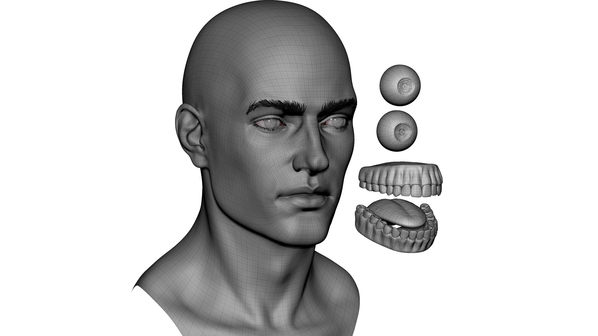 3D Male head basemesh model https://p.turbosquid.com/ts-thumb/w4/hQnj2t/vl/wireframe/png/1748616732/1920x1080/fit_q87/a2aeb87bf75bedb653aff9529af62fdb6775920a/wireframe.jpg
