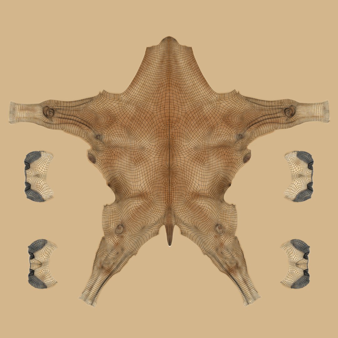 camel rigging baby model https://p.turbosquid.com/ts-thumb/w4/hmJ7rZ/Q3yAmv7W/camel_baby_uv02/png/1596207314/1920x1080/fit_q87/a26a6f16e79291a53dbfbedd26350b8ac7890421/camel_baby_uv02.jpg