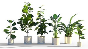 3D plant nature model