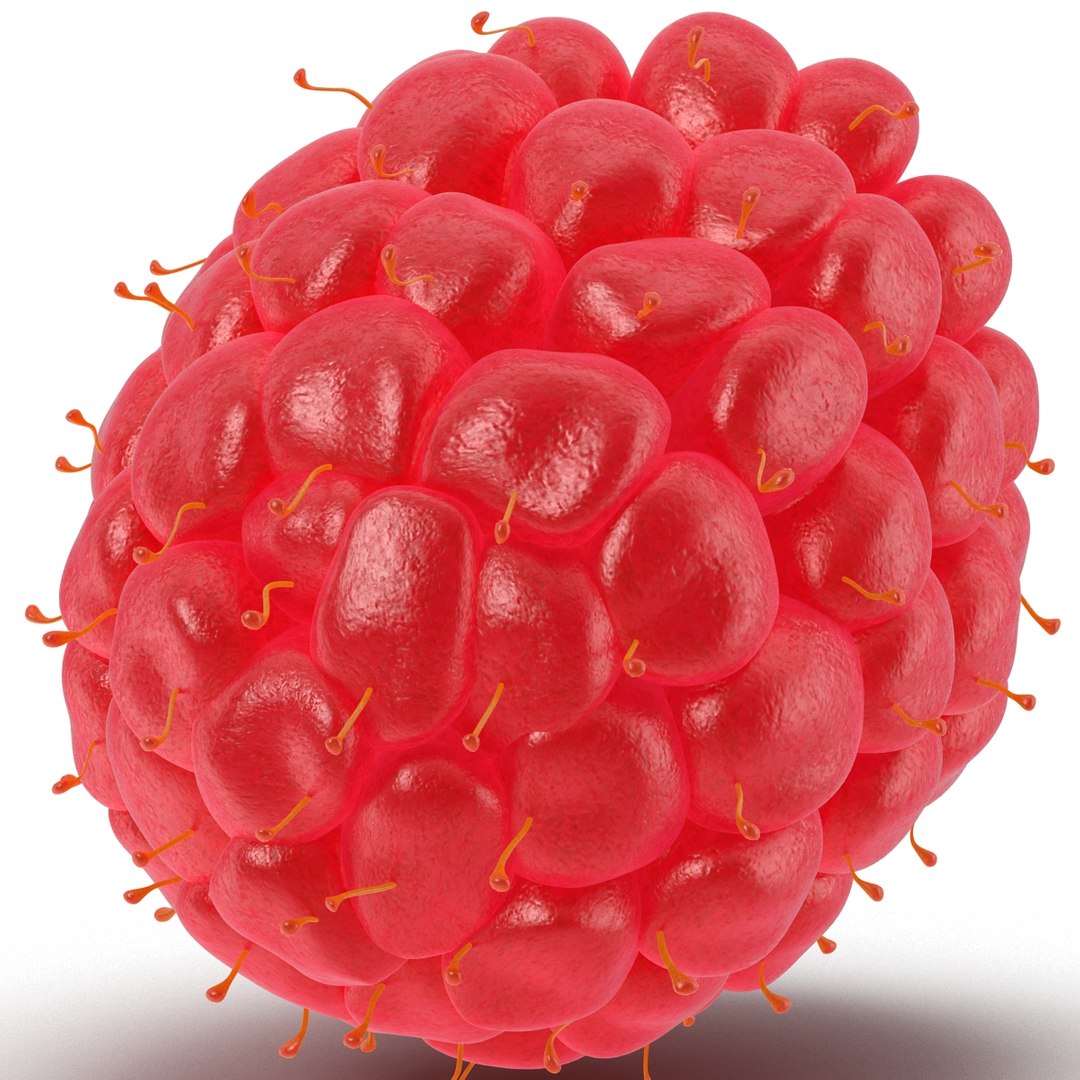 red raspberry modeled 3ds