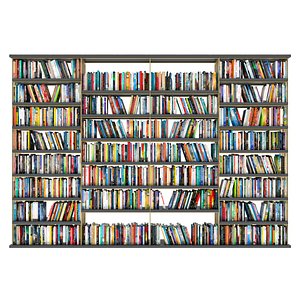3D Bookshelf