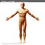 morelli digestive mr 3d model