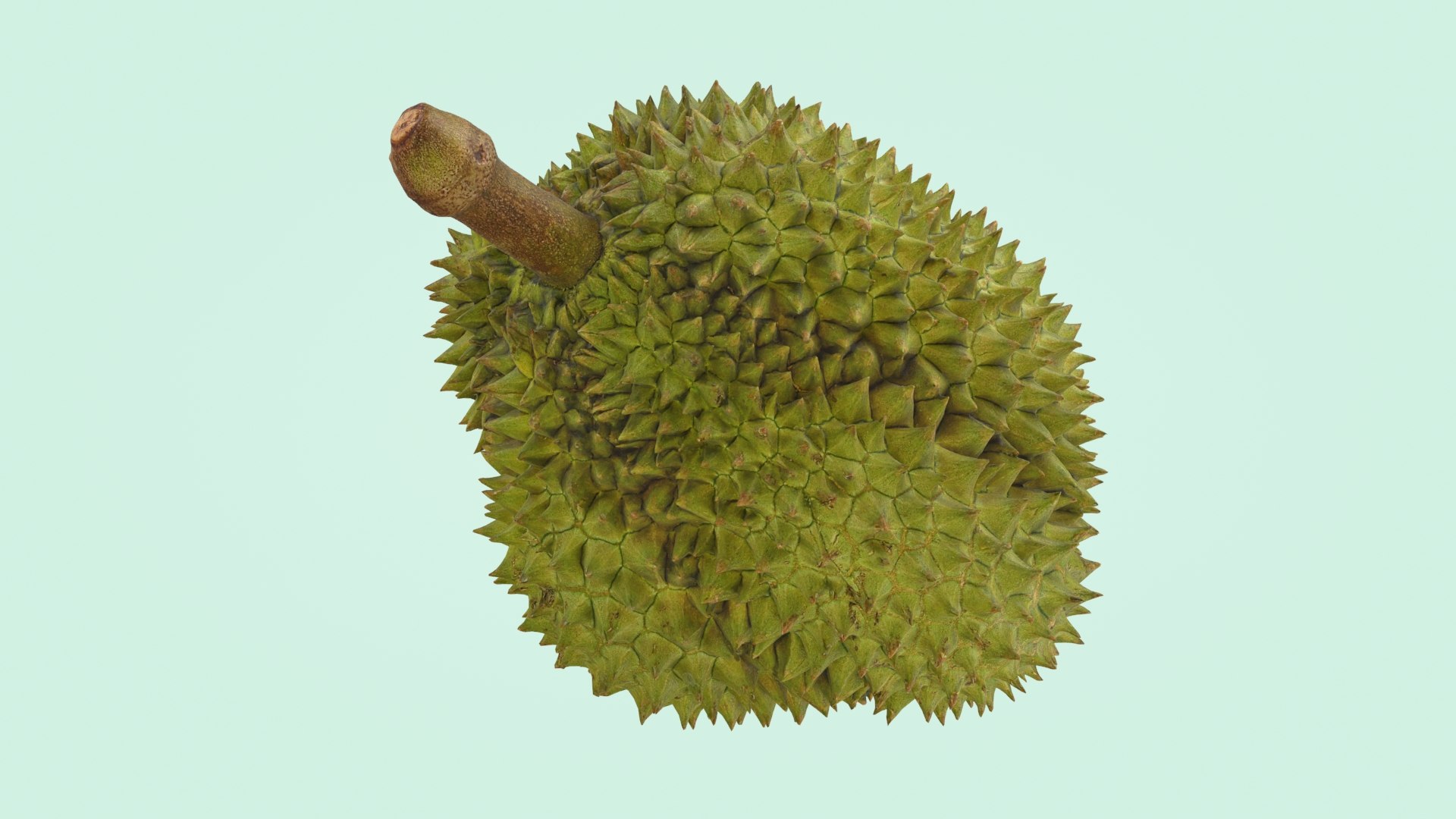 3D Dragonfruit Pineapple and Durian https://p.turbosquid.com/ts-thumb/w5/LJDdP3/68/durian_2_a0001/jpg/1686768155/1920x1080/fit_q87/37d5f1344d7f63ccbef02d1a9ddd9aa828773931/durian_2_a0001.jpg