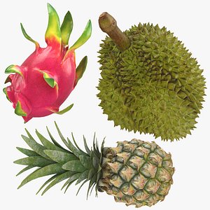 3D Dragonfruit Pineapple and Durian