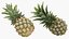 Ananas et Durian fruit du dragon