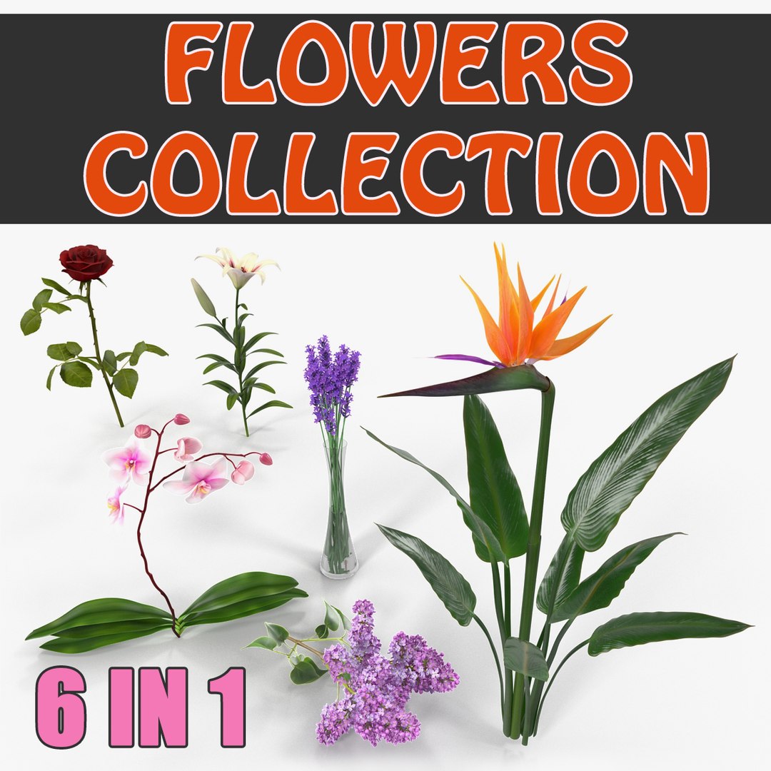Flowers 3D Models Collection 4 3D model preview