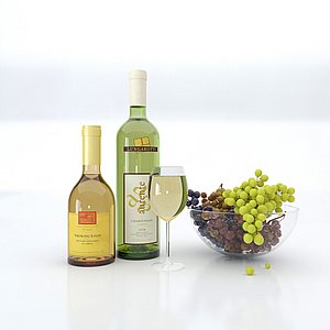 bottle wine glass bowl model